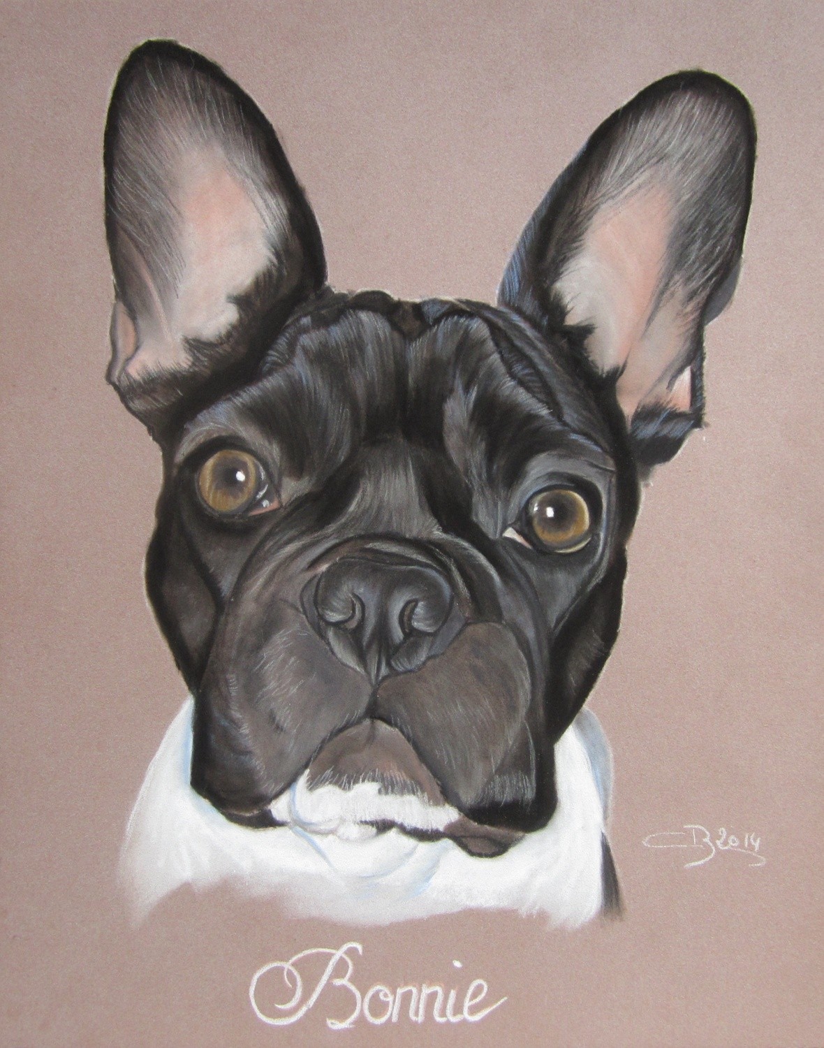 Dessin de bouledogue français Artiste Animalier