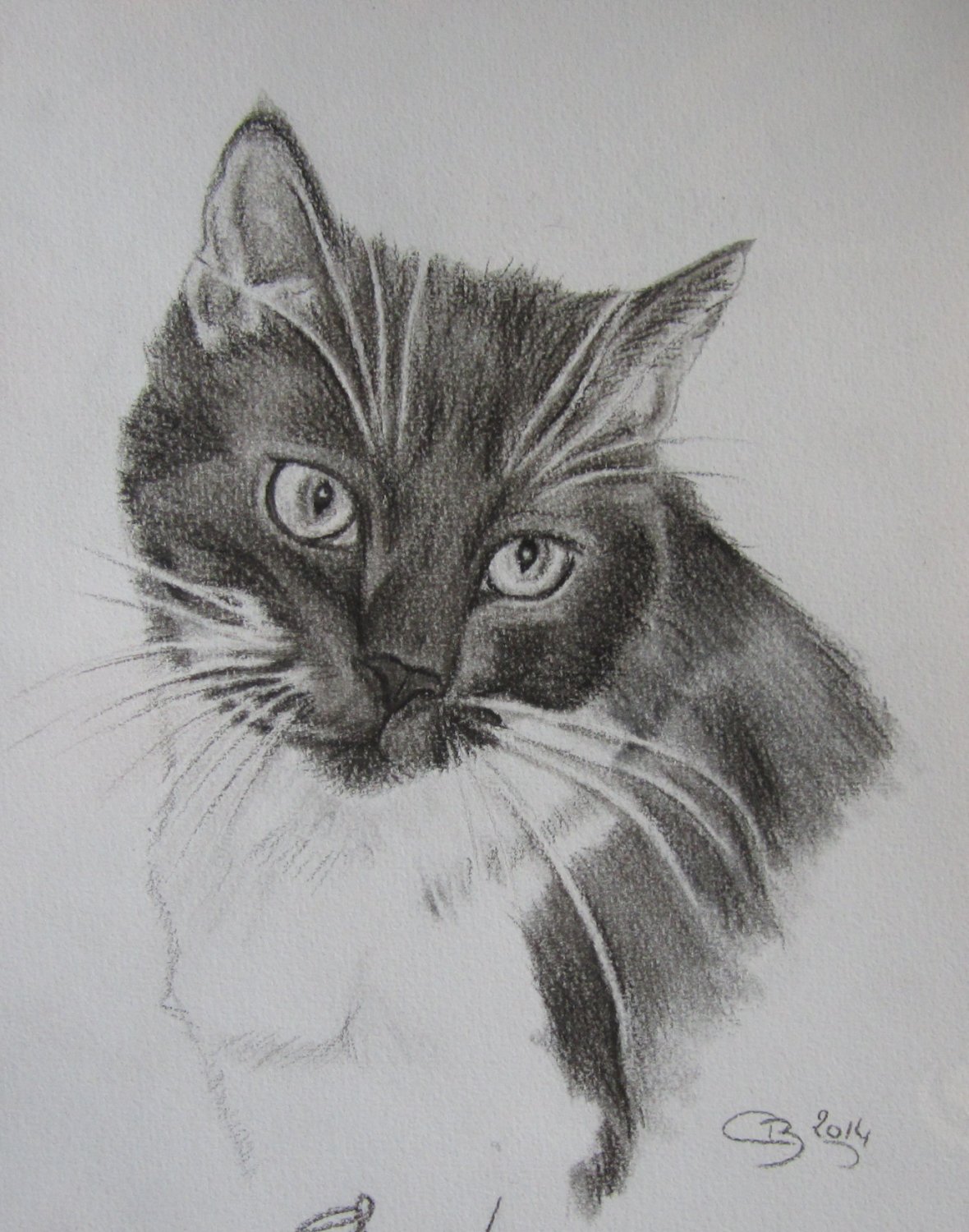 Les crayonnés d’animaux les crayonnes animaux