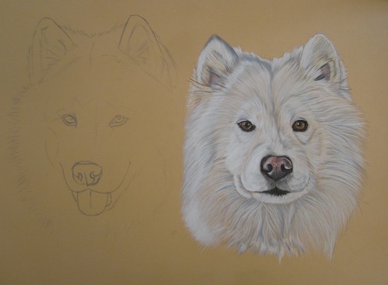 chien pastel