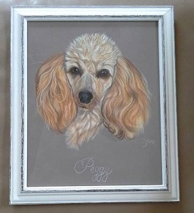 11061772_10206851162746294_7424701760083156590_n