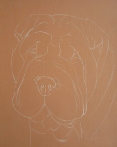 dessin shar-pei