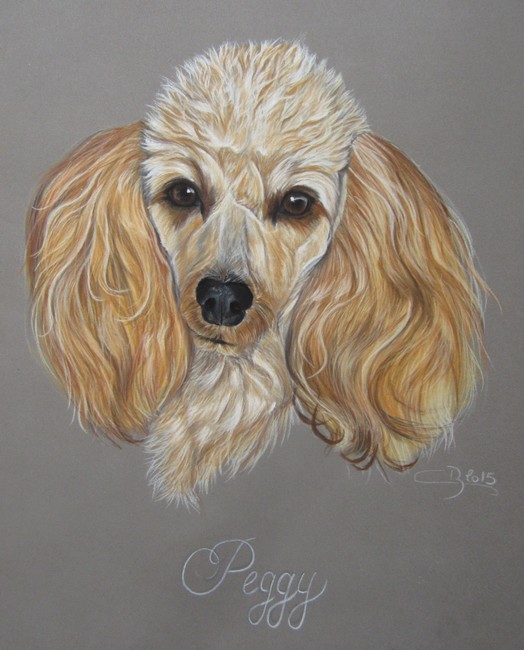 caniche pastel