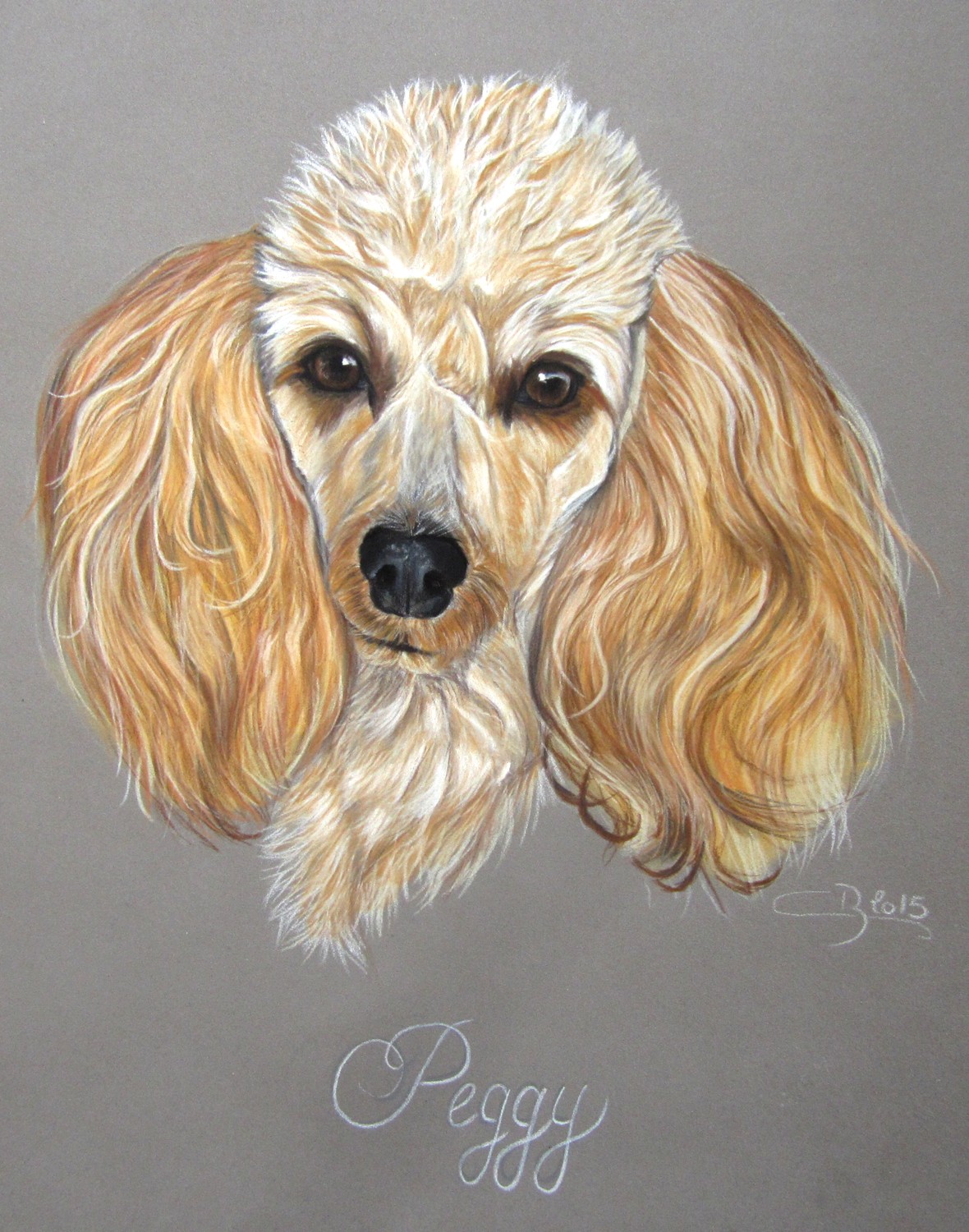 portrait de caniche