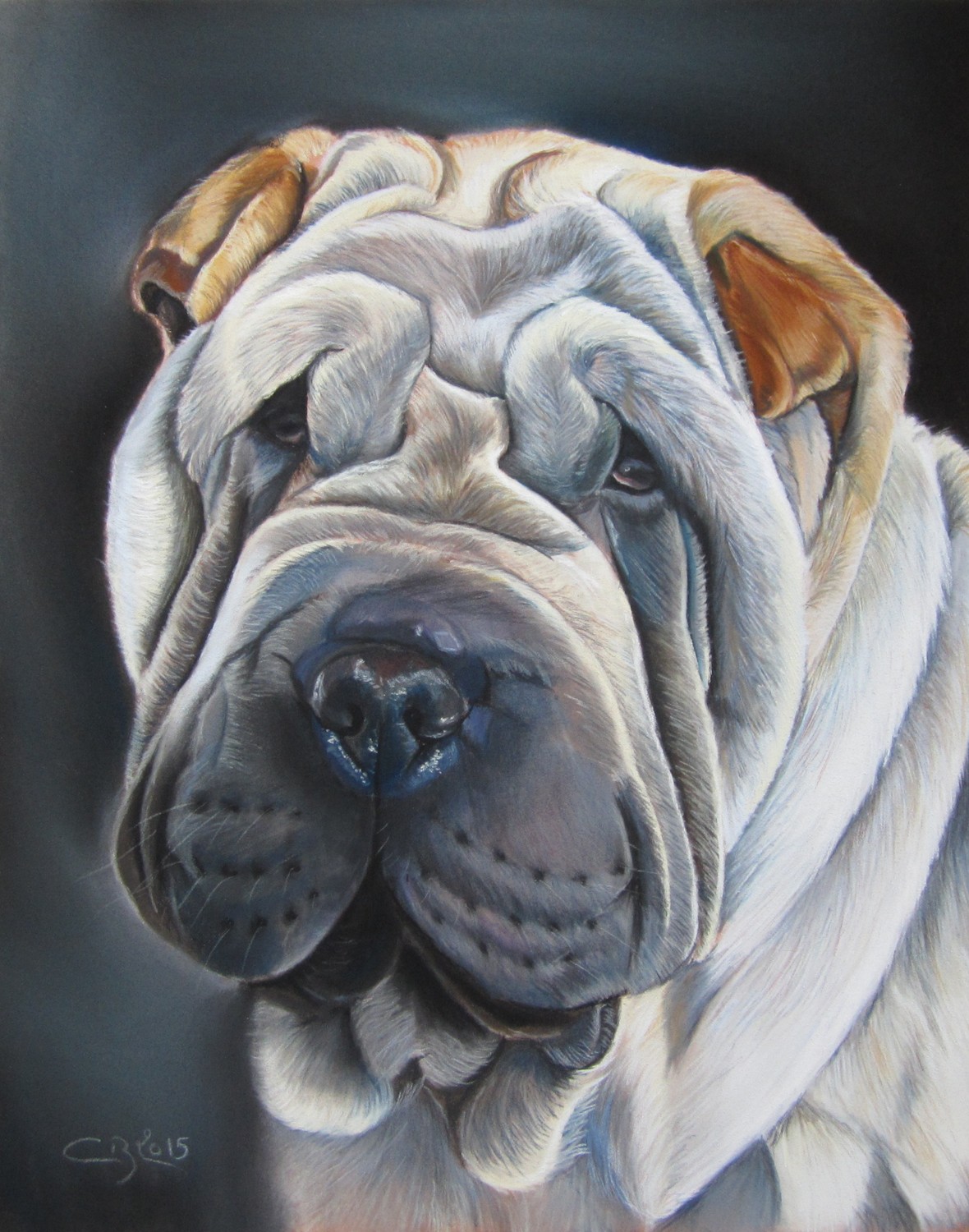 Shar-Peï pastels secs