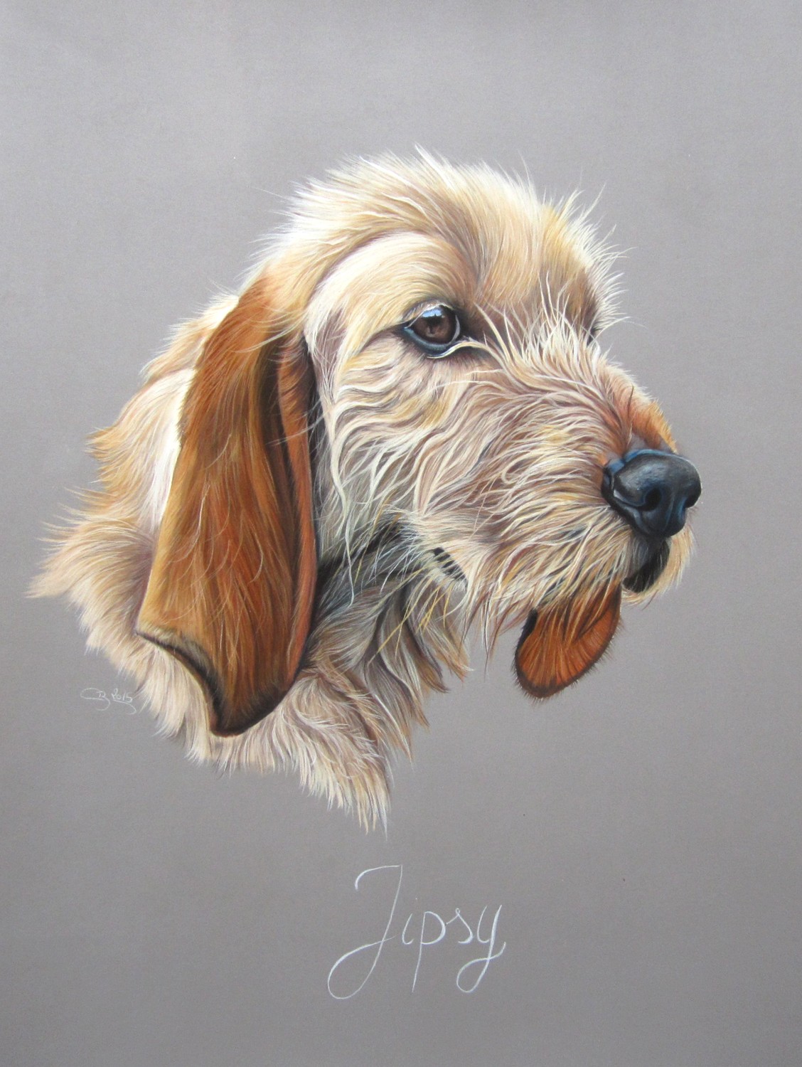 portrait fauve de bretagne