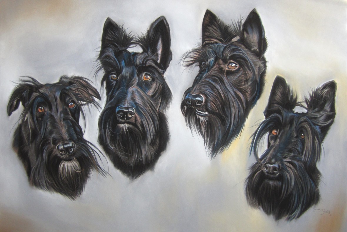 tableau de scottish terrier