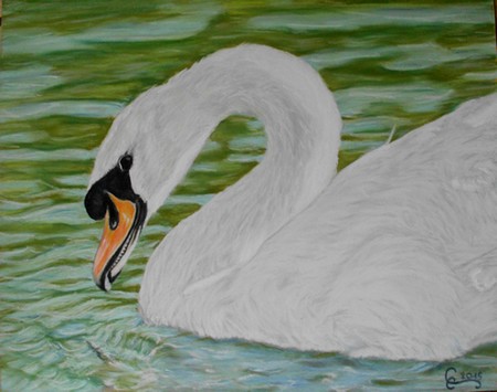 cygne pastels