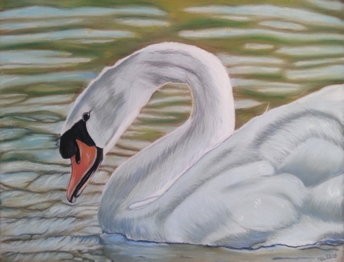Le cygne de Myriam