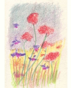 tableau coquelicots