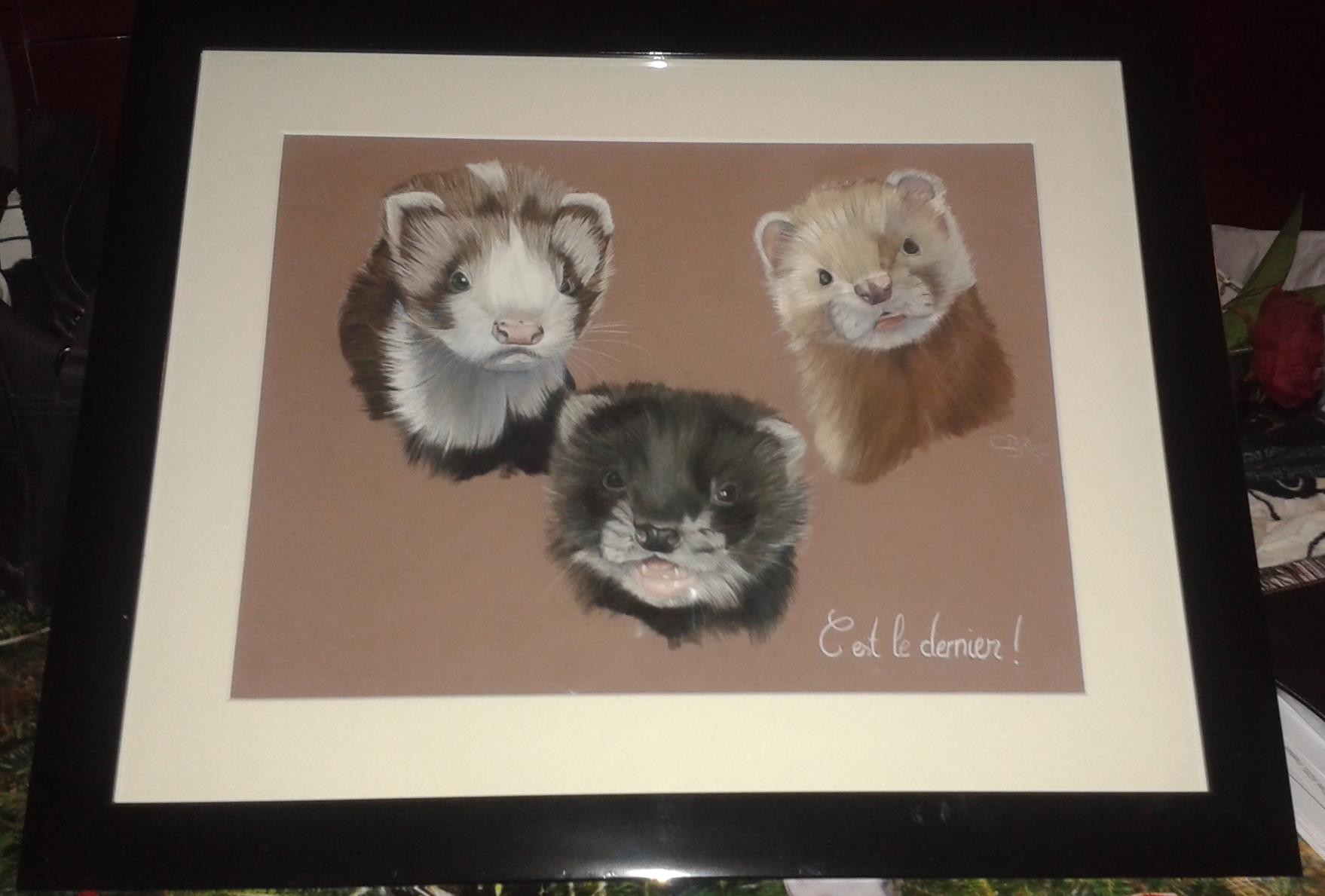 tableau furets