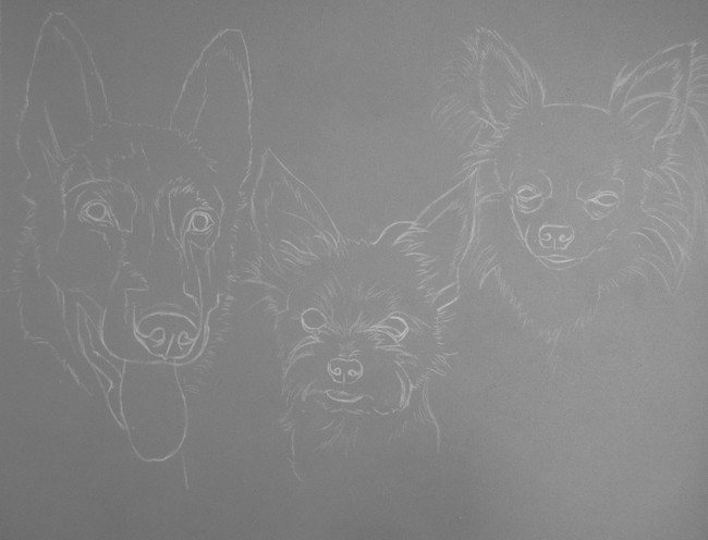 comment dessiner chiens