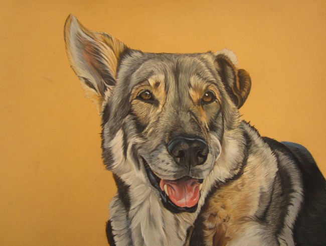 tableau chien loup saarloos