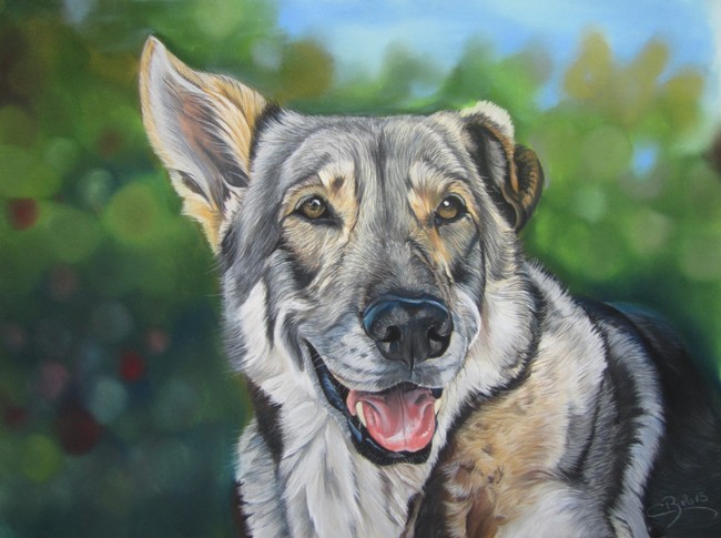pastel chien loup saarloos