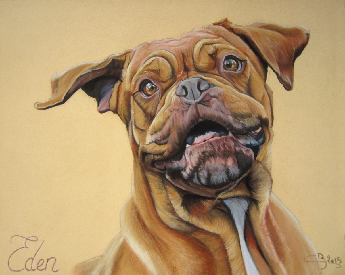 portrait de dogue de bordeaux