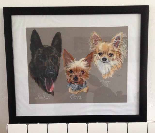comment dessiner chiens