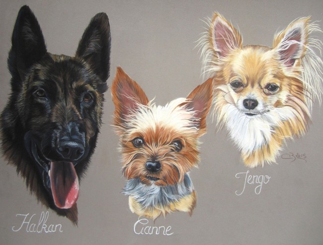 comment dessiner les chiens