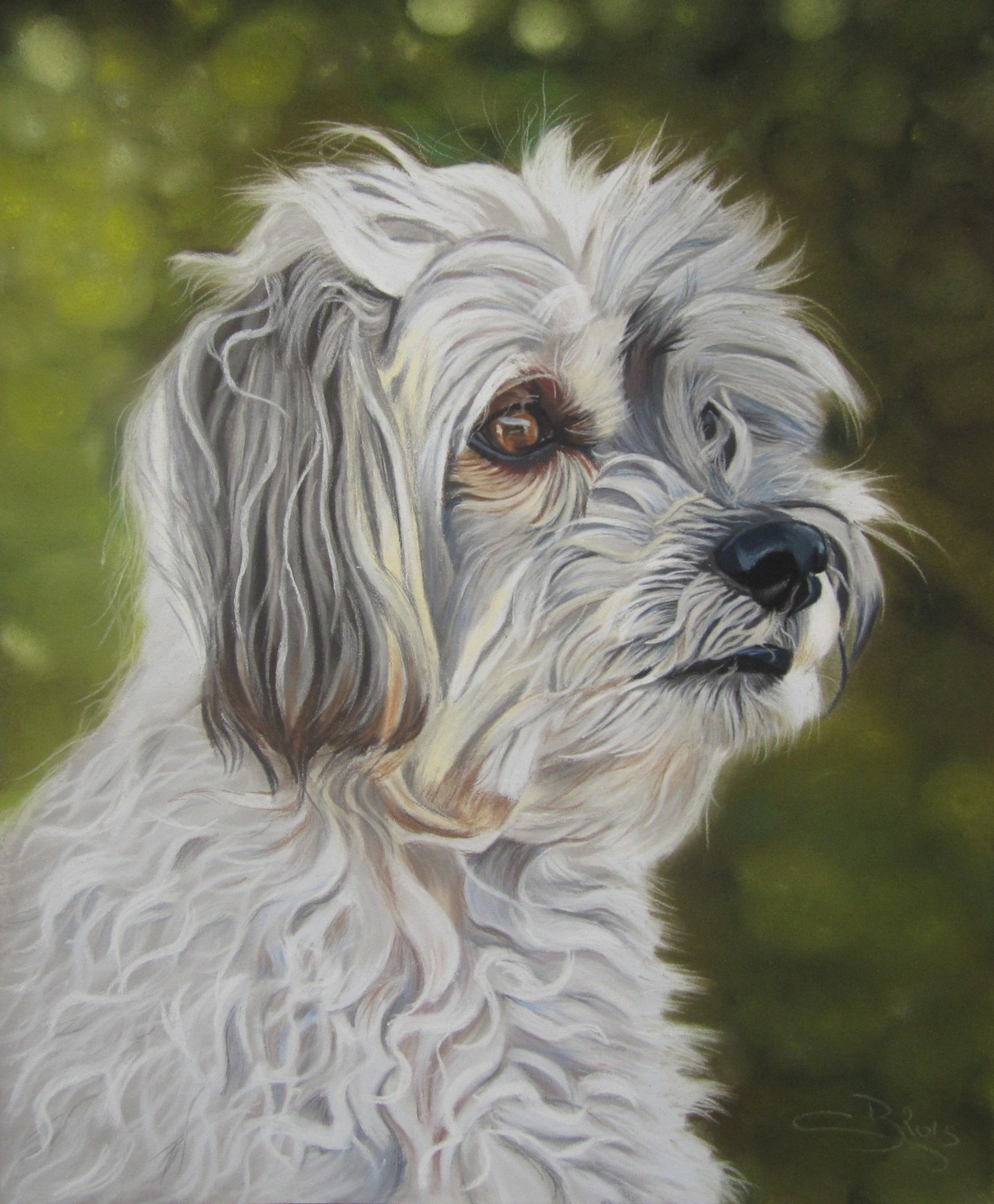 chien frisé pastels secs