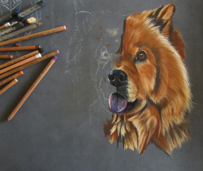 chowchow pastel