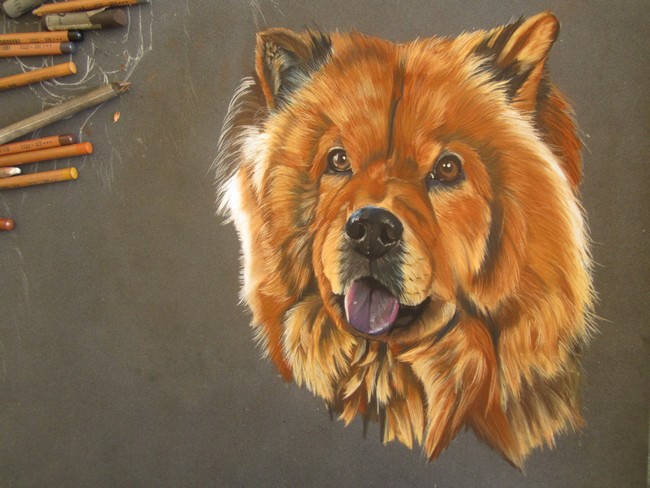 portrait chowchow