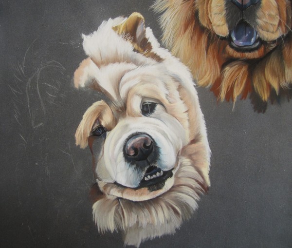chowchow pastel sec