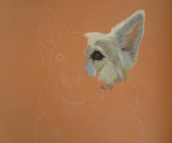 chien blanc pastel