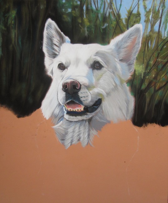 berger blanc pastels