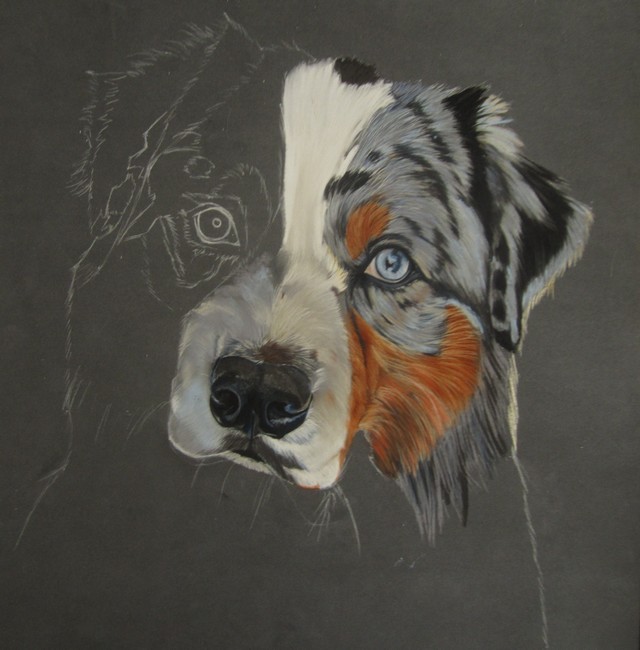 pastel berger australien