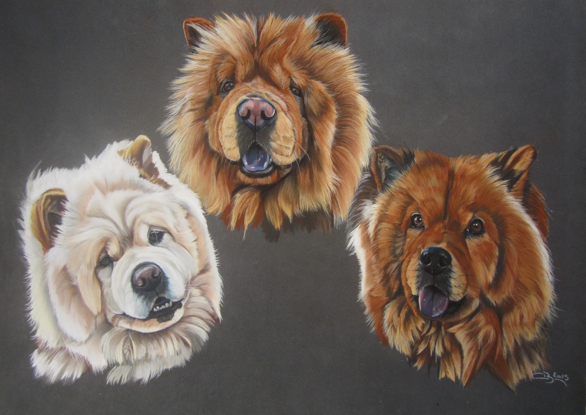portraits de chowchows