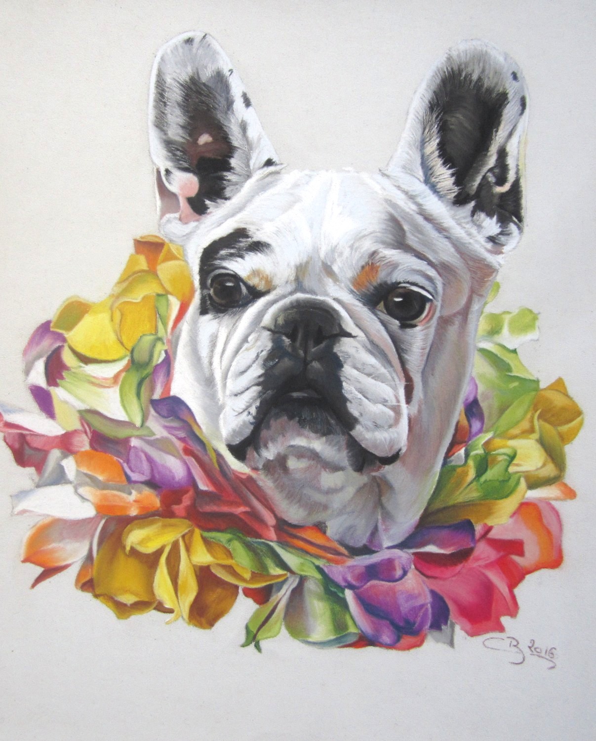 dessin bouledogue français