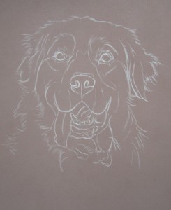 dessiner chien aux pastels