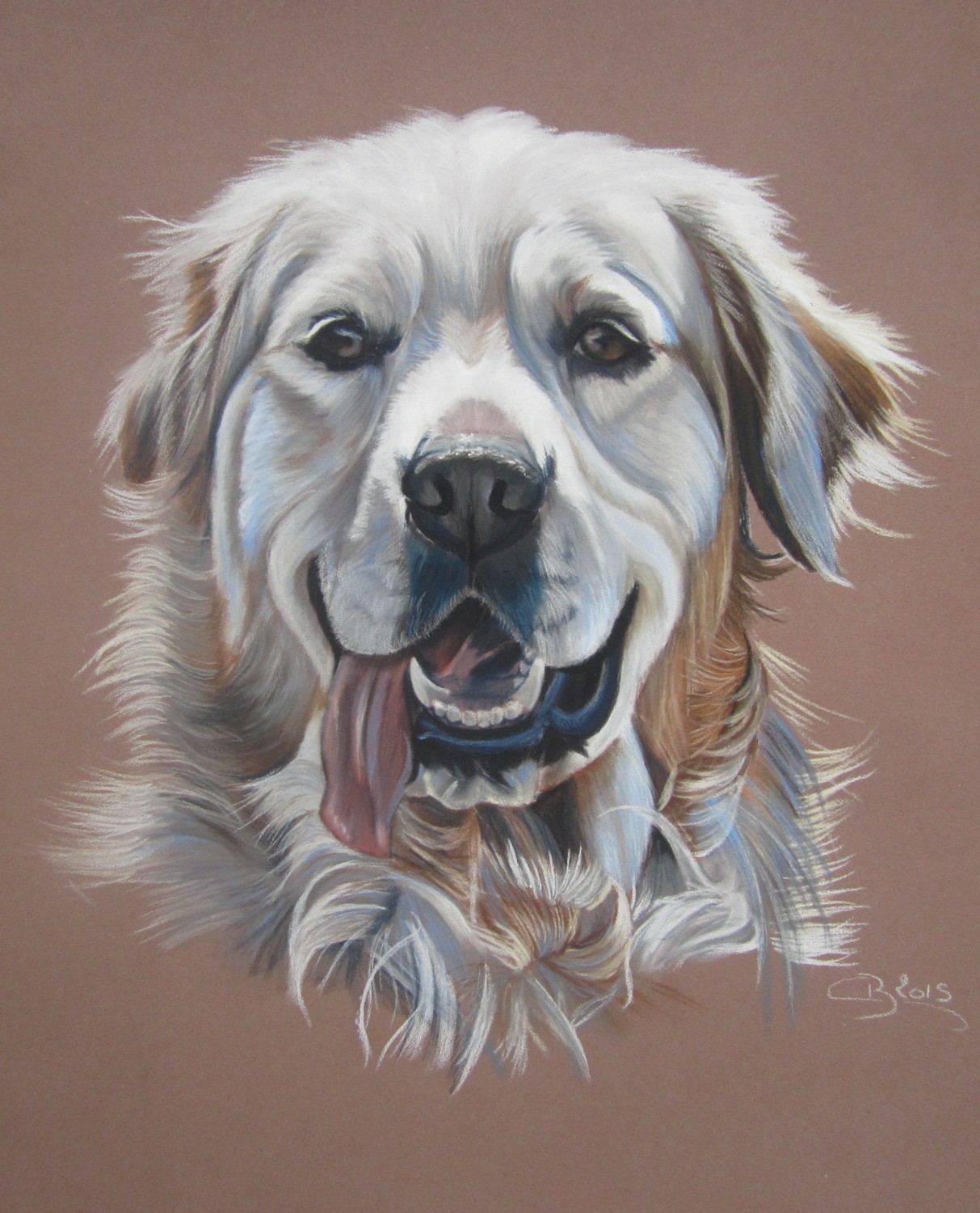 Portrait de Golden Retriever