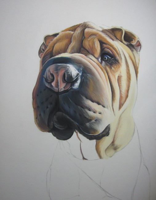 sharpei pastels