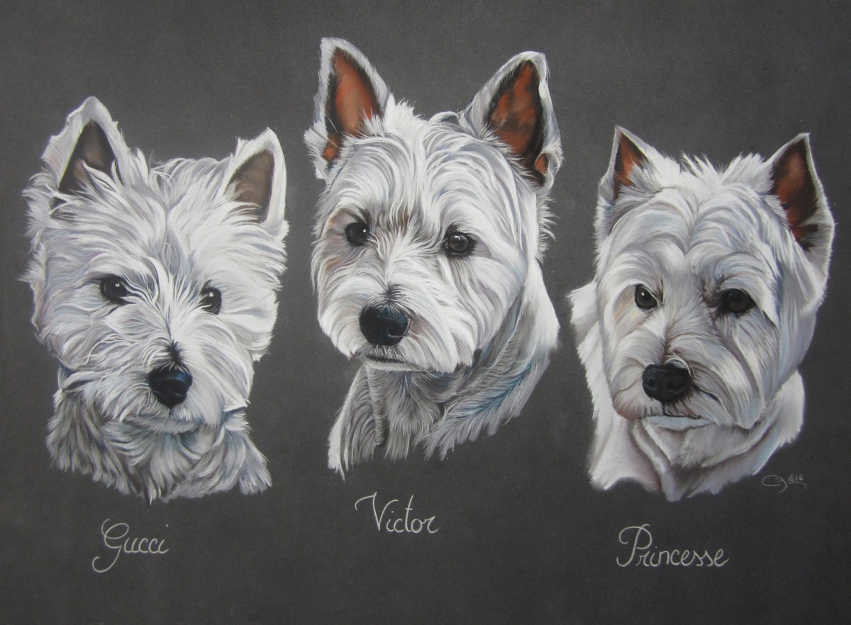 westies pastels secs
