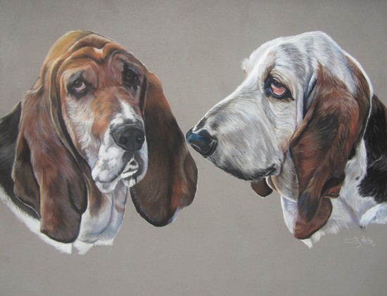 basset hound pastel