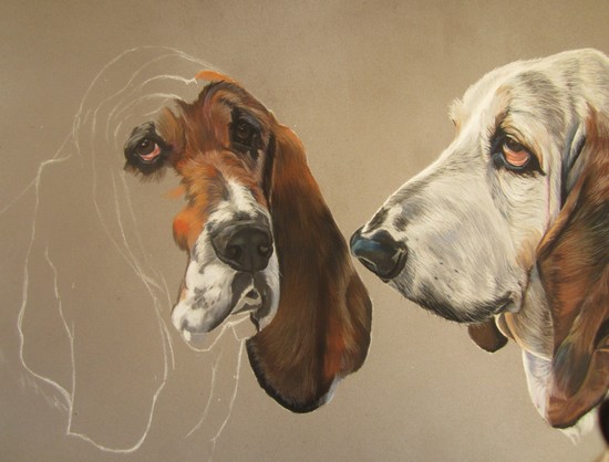 bassets hounds pastel