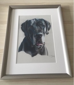 dogue allemand tableau