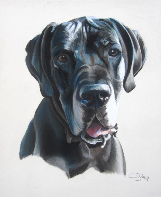 pastel dogue allemand