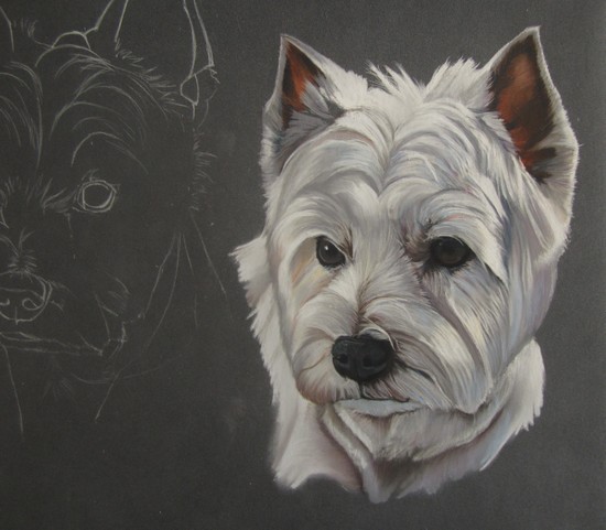 peinture westie