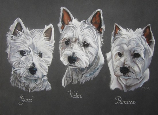 tableau westie