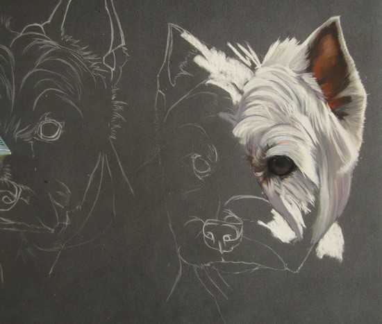 tableau westies