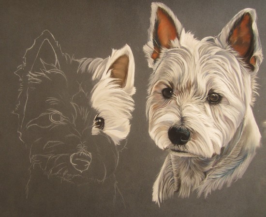 westie pastel