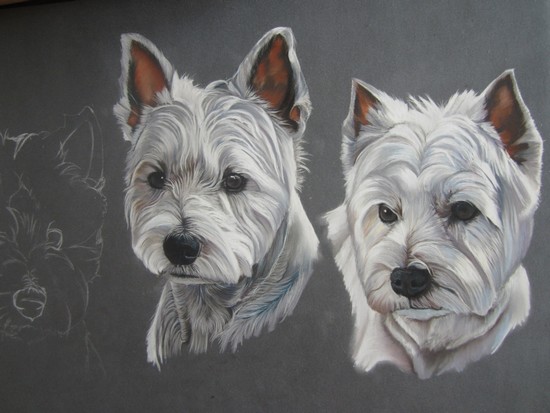 westies pastels secs