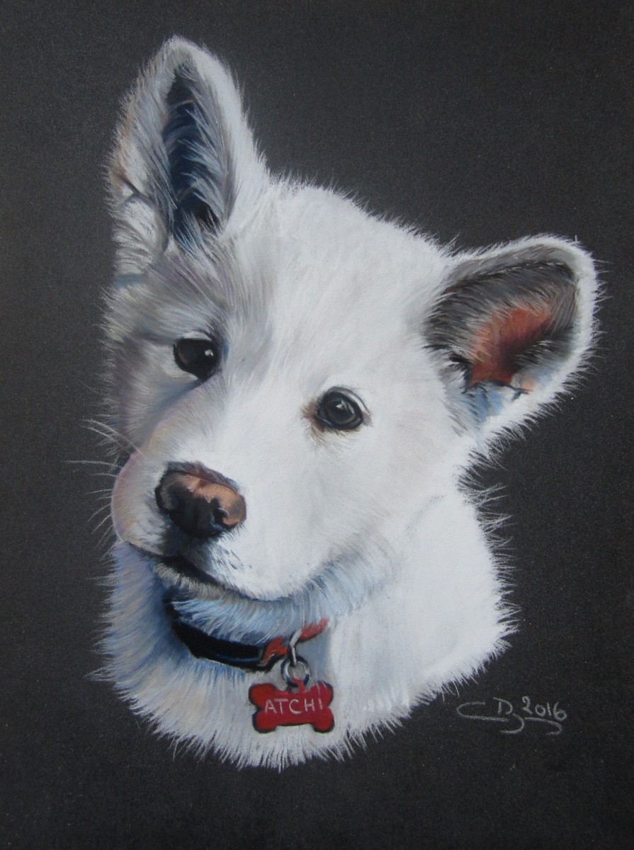 chiot aux pastels secs
