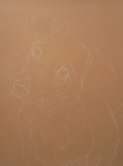 dessin jack russel
