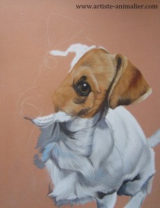 jack russel pastels