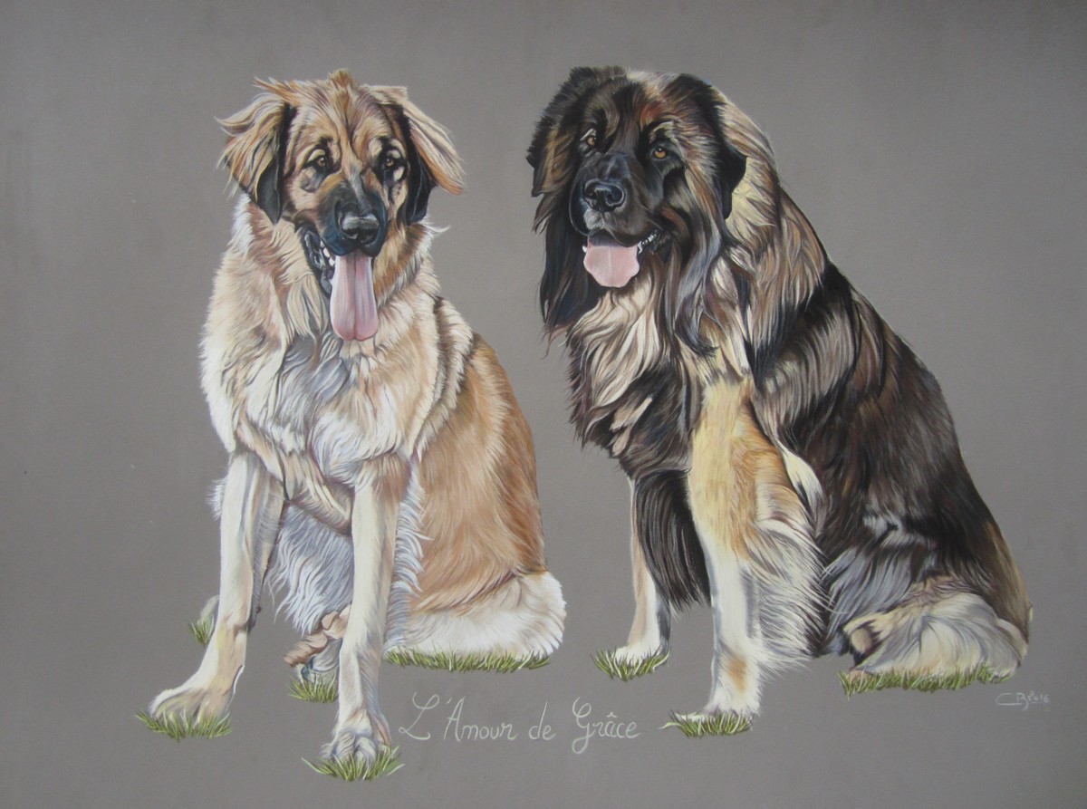 leonberg pastel sec