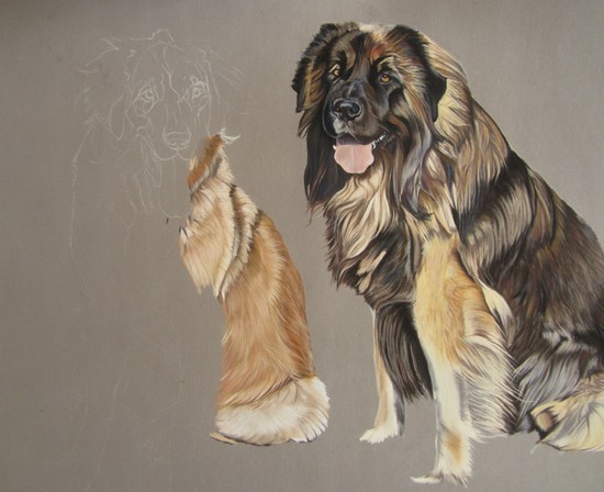 leonbergs pastels