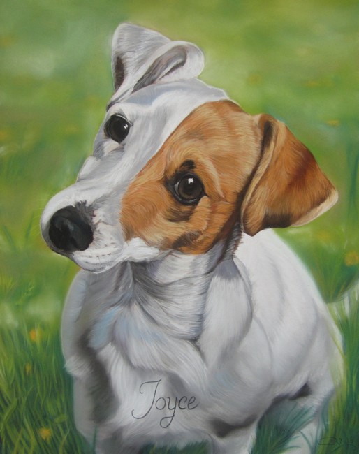 pastel sec jack russel