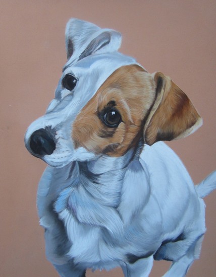 peinture jack russel