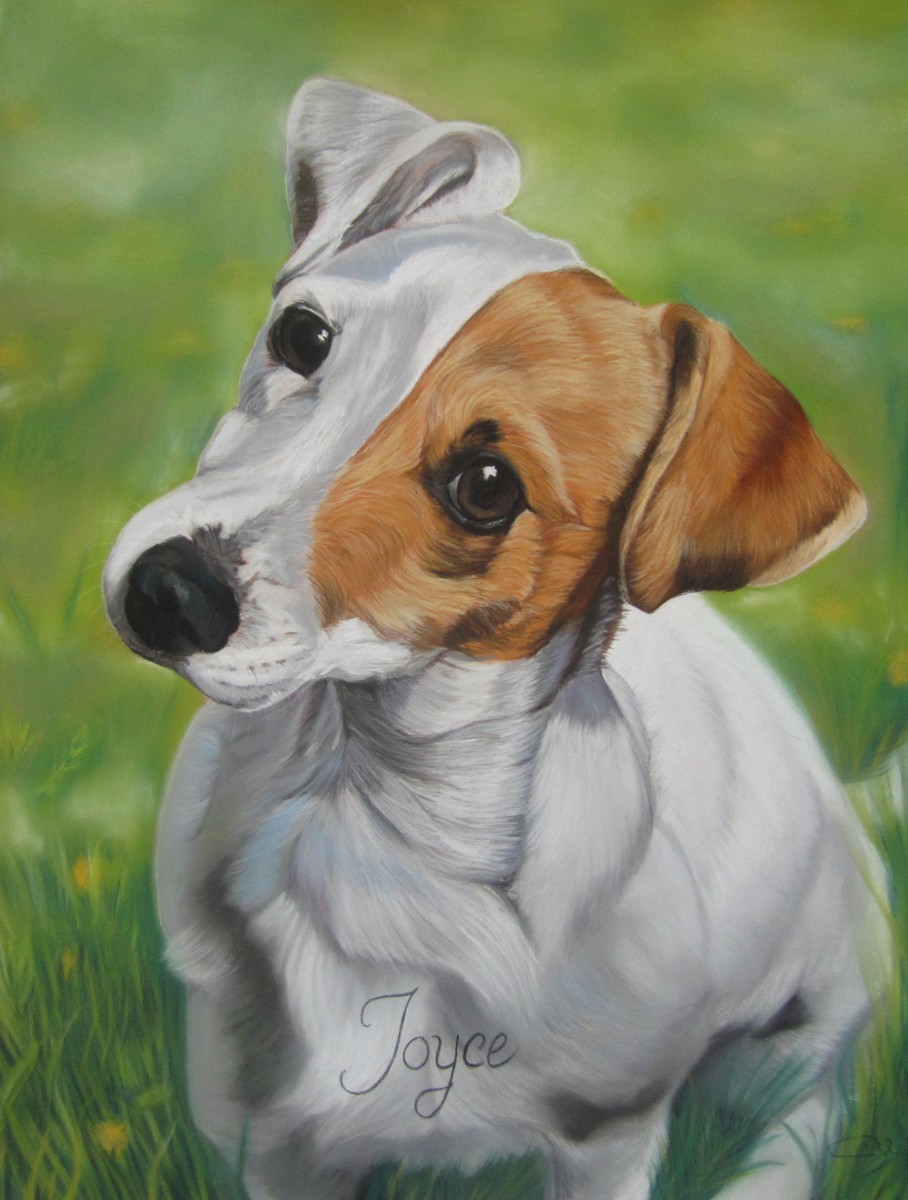 tableau jack russel